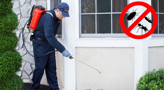 Doğanlar Hamam Böceği İlaçlama böcek ilaçlama ve haşere kontrolü — ilaclama-tr.com